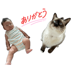 suzu_20260803173154