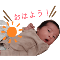 ann_20260803164929