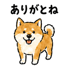 Bungotakada Dialect Shiba Inu