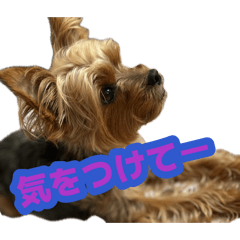 norio_20260803201224