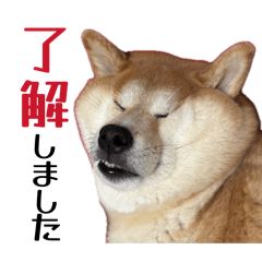 tomo_20260803200216