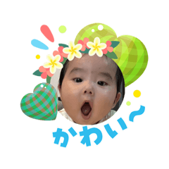 Owaniki_2026080320152