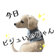 dosanko_20260803200940