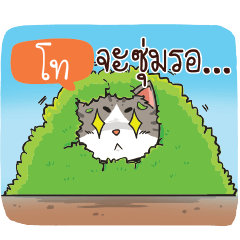 โท แมวเกรียน แล้วไง!