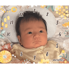 hoshino036_20260803204642
