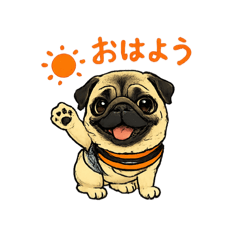 HANA_20260803210059