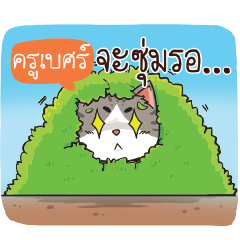 ครูเบศร์ แมวเกรียน แล้วไง!