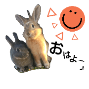 rabbit stamp f
