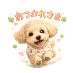 ck_20260803203651
