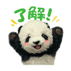 SACHIKO_20260803182732