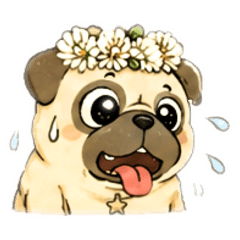 koito_20260803183508