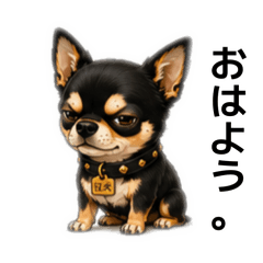 KORO_20260803184059