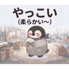 arara_20260803185532