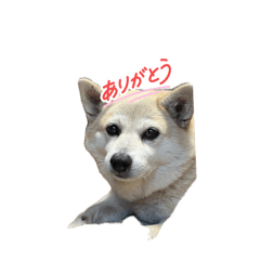 miurasan_20260803205324