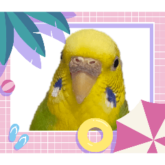 Booo_20260803222600