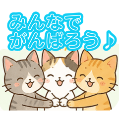 yusaku_20260803195826