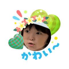 PAPA_20260803215258