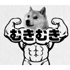 Buyuhuyu_20260803215354