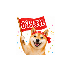 KAYO_SIBA2