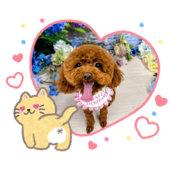 Yuka_20260803230221