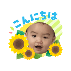 piyopiyo_20260803224807