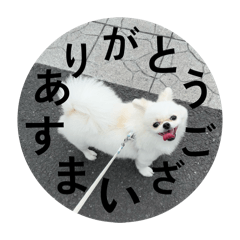 uchino_animals