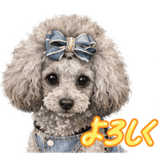 Ribbon_20260803225554