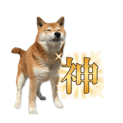 Momochan_20260803234007