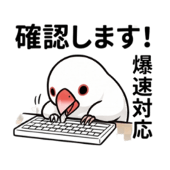 working Java finch