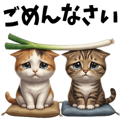 The Daily Life of Calico and Tabby Cats