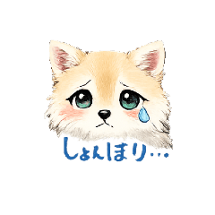 HIRO_20260803232909