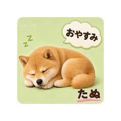matsuking_20260804020752