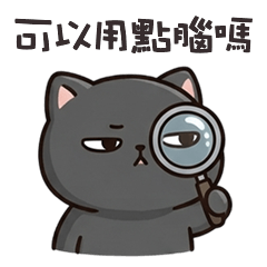 chubby cutie cats17