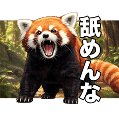 nakiri_20260804024800