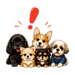 ayu_20260804100306