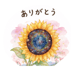 kararirun sunflower_20260804102605