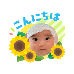 nanamaru_20260804123517