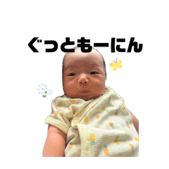 piyopiyo_20260804130222