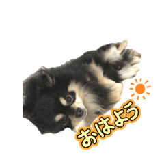 runrun_20260804122619