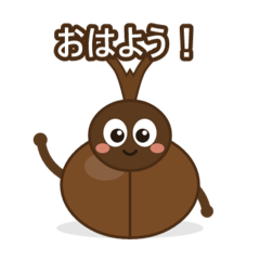 HANA CAT_20260804125223