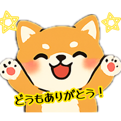 youskin7_20260804133645