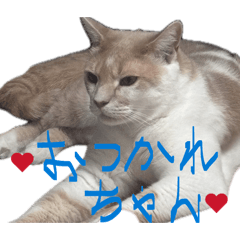 ayu_20260804140403
