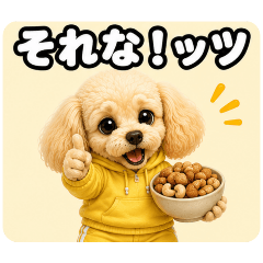ayame_20260804114627
