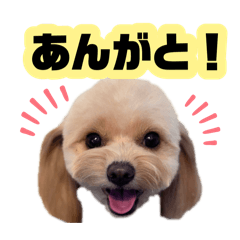 beibechan_20260804125130