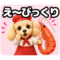 ayame_20260804114532