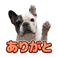 monaka_20260804143251