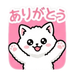 cat cat cat cat cat猫