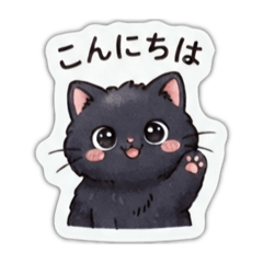 Fluffy and cute black cat