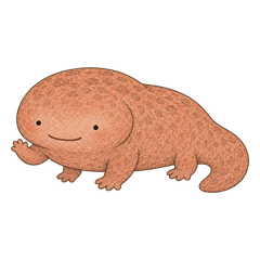オオサンショウウオのぬるん 毎日使える