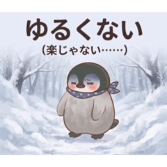 arara_20260804150000